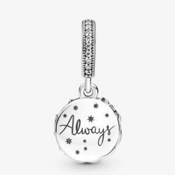 Pandora Charms - Picture 2 of 4